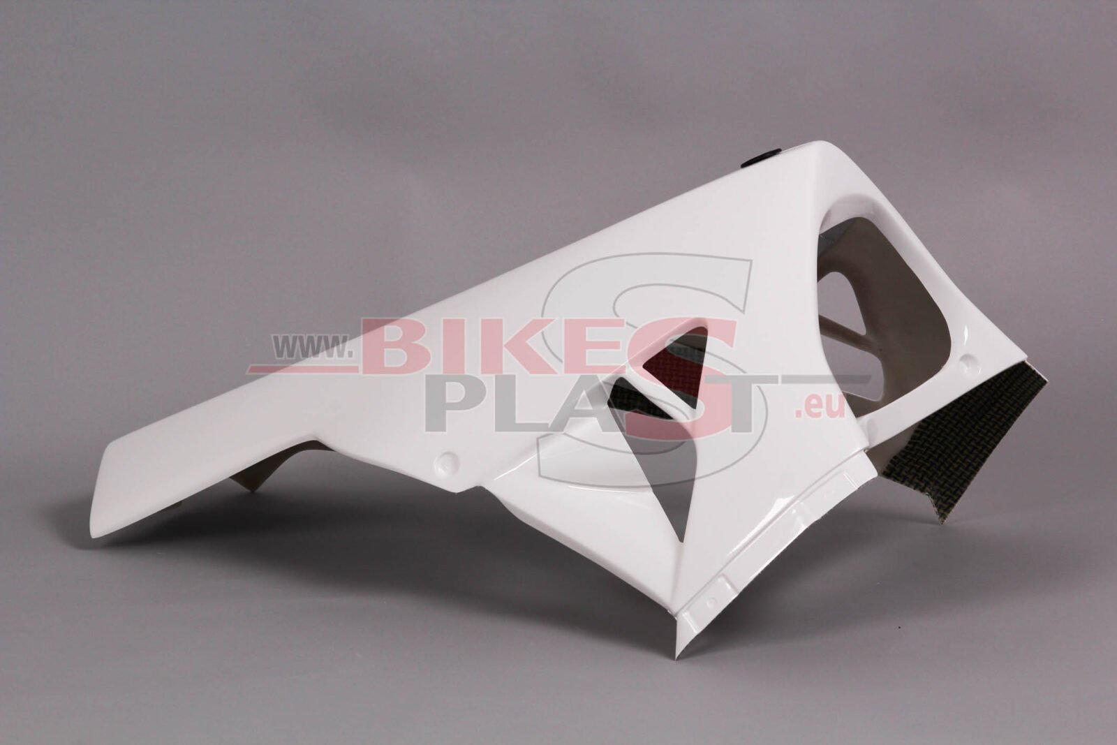 RSV-4-1000-2009-Lower.jpg